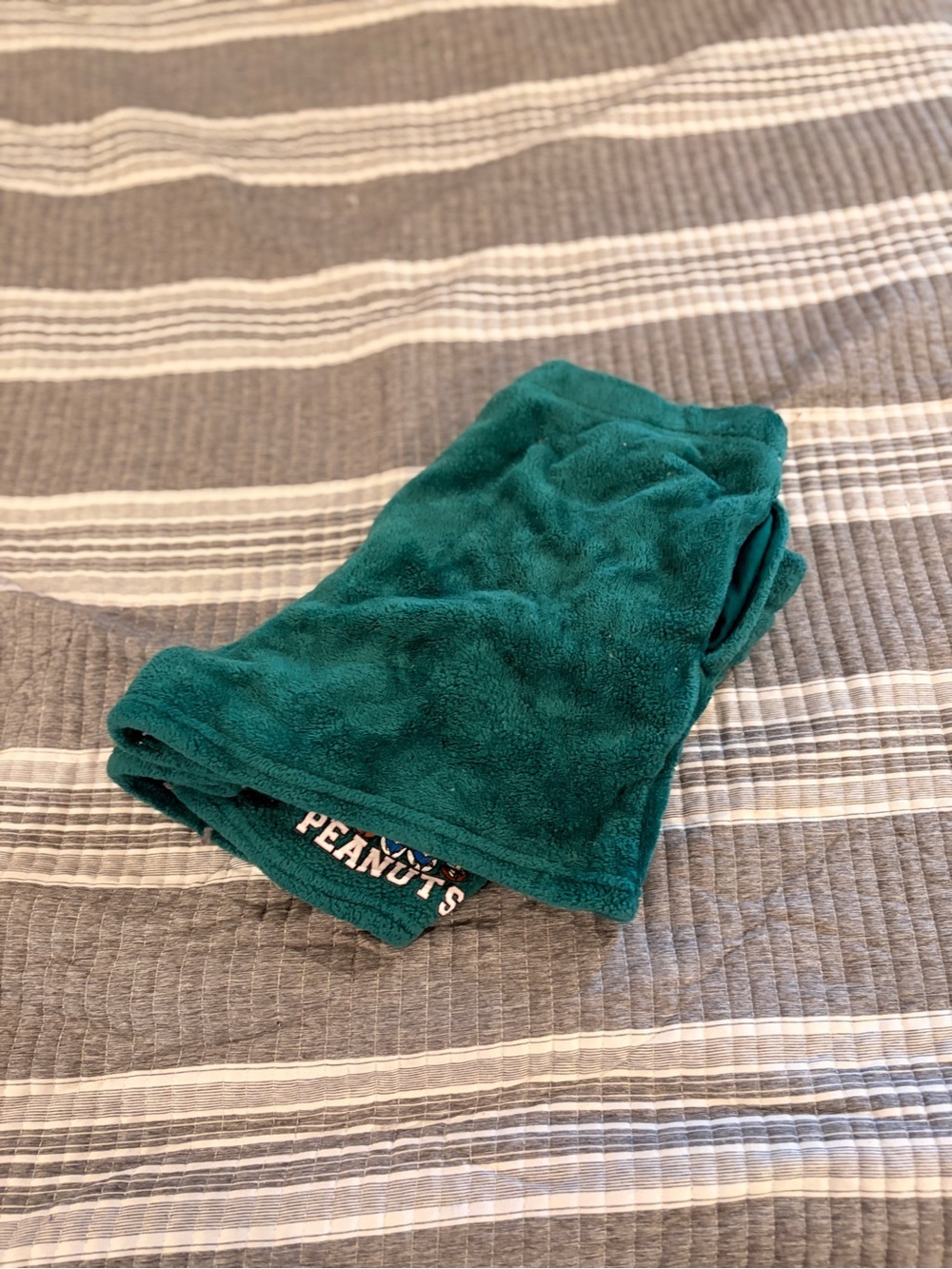 Peanuts Plush Green Women’s Large Shorts - Picture 7 of 7